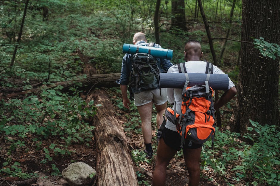 Warum Wandern ein toller Zeitvertreib ist