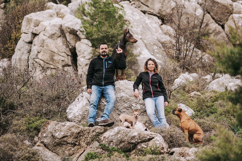 Hund beim Wandern beachten: Dinge, die man wissen muss