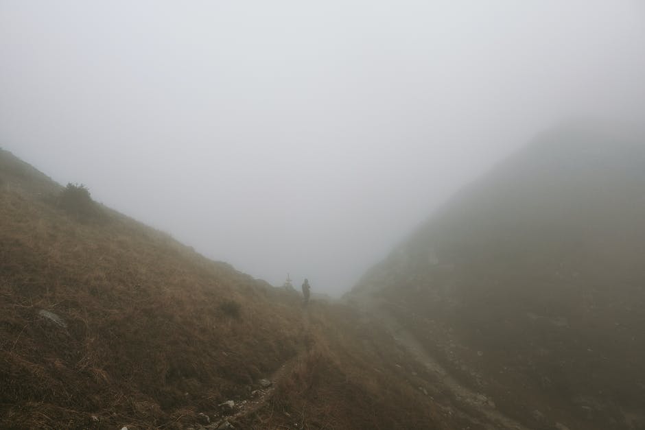 "Katze beim Wandern"