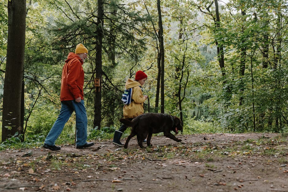 Empfehlungen für Wanderstrecken